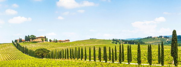 Landschaft mit Blick auf Weingut im Chianti, Toskana